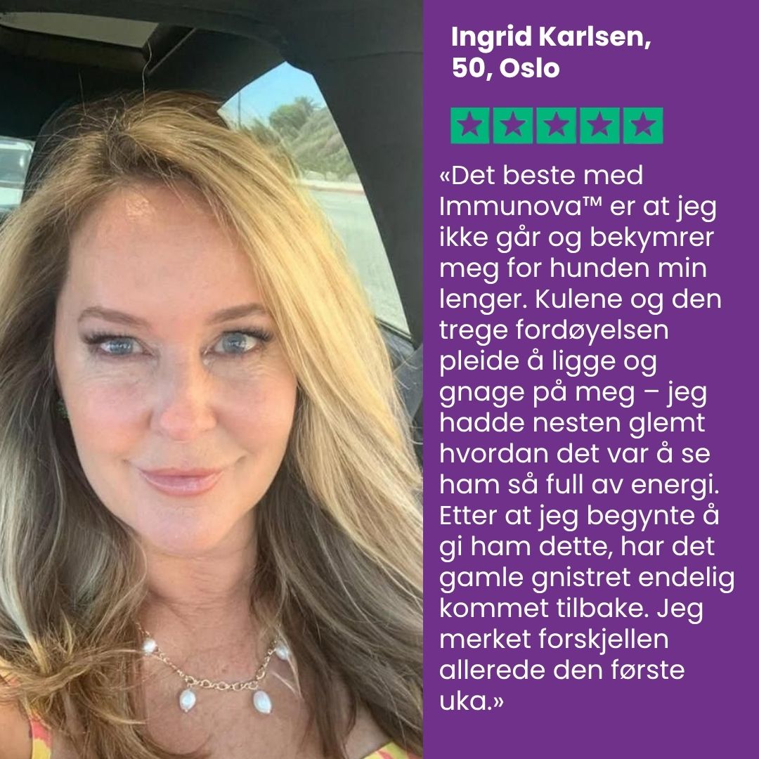 Immunova™ | Støtter en sunn tarm og normal fordøyelse hos hunder