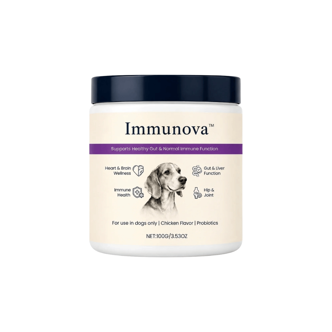 Immunova™ | Støtter en sunn tarm og normal fordøyelse hos hunder