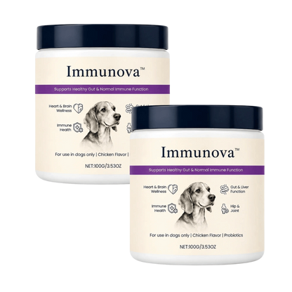 Immunova™ | Støtter en sunn tarm og normal fordøyelse hos hunder