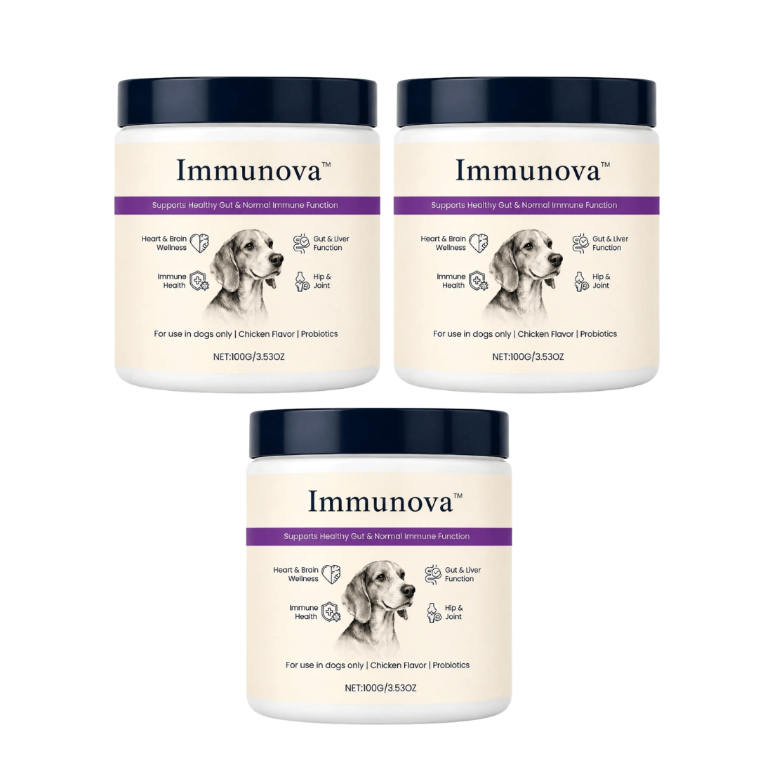 Immunova™ | Støtter en sunn tarm og normal fordøyelse hos hunder
