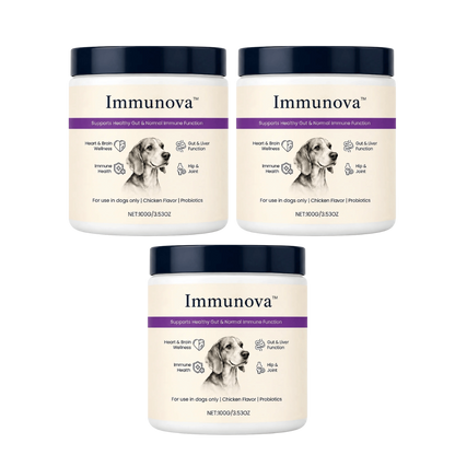 Immunova™ | Støtter en sunn tarm og normal fordøyelse hos hunder