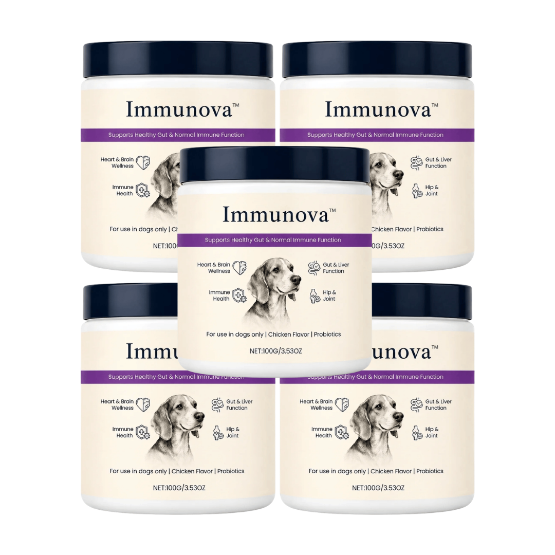 Immunova™ | Støtter en sunn tarm og normal fordøyelse hos hunder