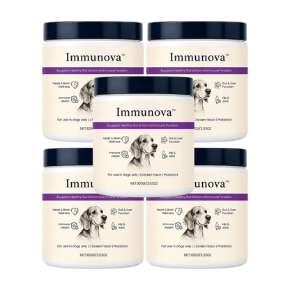Immunova™ | Støtter en sunn tarm og normal fordøyelse hos hunder