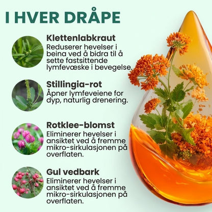 Lymphoria™ | Velværedråper for lymfedrenasje
