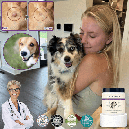 Immunova™ | Støtter en sunn tarm og normal fordøyelse hos hunder